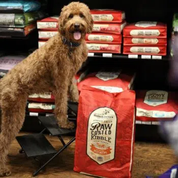 Stella & Chewy's - Grass-Fed Beef 凍乾生肉外層低溫烘焙乾糧 [草飼牛配方][全犬] - Image 4