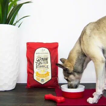 Stella & Chewy's - Cage-Free Chicken 凍乾生肉外層低溫烘焙乾糧 [放養雞配方][全犬] - Image 4