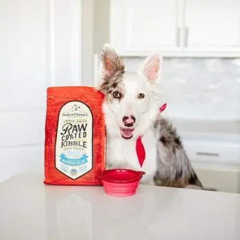 Stella & Chewy's - Wild Caught Whitefish 凍乾生肉外層低溫烘焙乾糧 [野生白魚][全犬] - Image 4