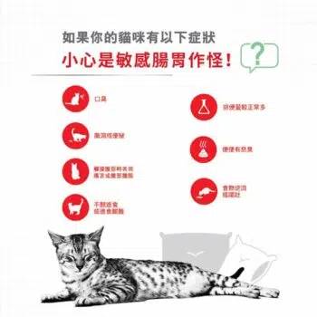 Royal Canin 法國皇家 - Digestive Care 安全消化配方 - 圖片 4