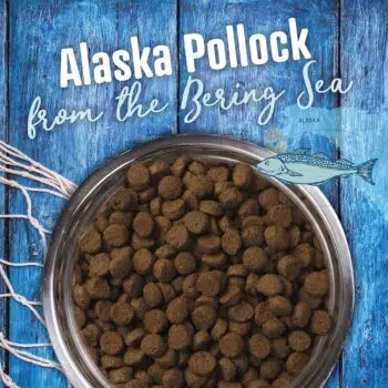 Earthborn Venture - Alaska Pollock Meal & Pumpkin 阿拉斯加鱈魚、南瓜[腸胃皮膚配方][全犬] - Image 2