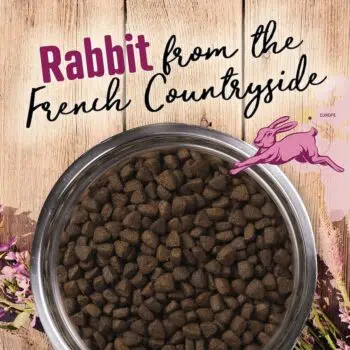 Earthborn Venture - Rabbit Meal & Pumpkin兔肉、南瓜[腸胃皮膚配方][全犬] - Image 3