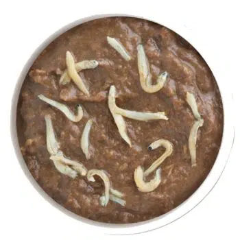Weruva 經典系列 - Asian Fusion 吻仔魚、鮪魚紅肉 156g - Image 2