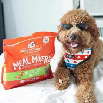 Stella & Chewy's - Duck Duck Goose Meal Mixers [鴨肉及鵝肉][乾糧伴侶][全犬] - Image 3