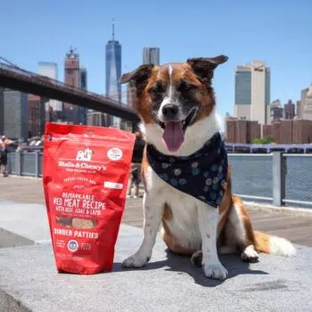 Stella & Chewy's - Remarkable Red Meat Dinners 紅肉配方脫水糧[全犬] - Image 4