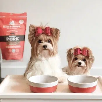 Stella & Chewy's - Purely Pork Dinners 豬肉配方脫水糧[全犬] 14oz - Image 3