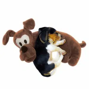 DOGGYMAN-878691 2