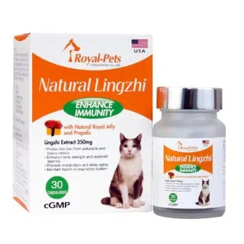 Royal-Pets - Natural Lingzhi 天然靈芝 30粒膠囊[貓]