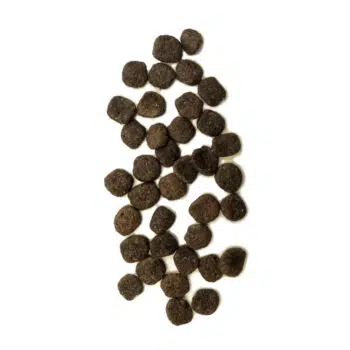 Earthborn Venture - Smoked Wild Boar & Butternut Squash 野豬、小南瓜[腸胃皮膚配方][全犬] - Image 2