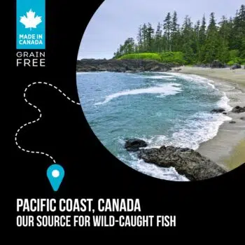 Nutrience Sub Zero - Canadian Pacific 七種魚、凍乾脱水鮮三文魚、 鯡魚脫水肉粒配方[全貓] - Image 5