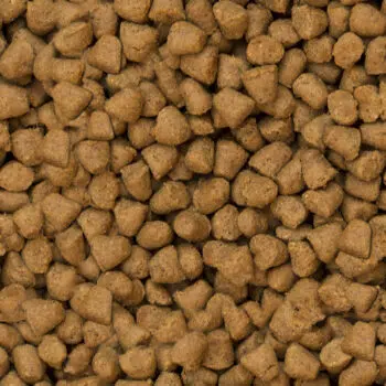 Oven-Baked 奧雲寶 - Grain-Free Red Meat無穀物羊肉配方[全犬][細粒裝] - 圖片 2