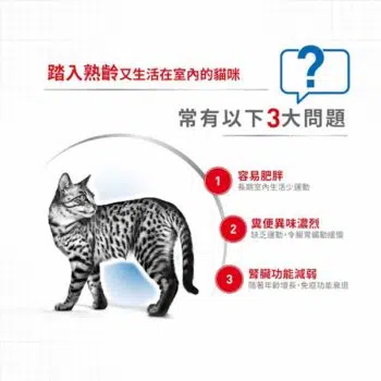 Royal Canin 法國皇家 - Indoor 7+ 7歲以上室內配方 - Image 4