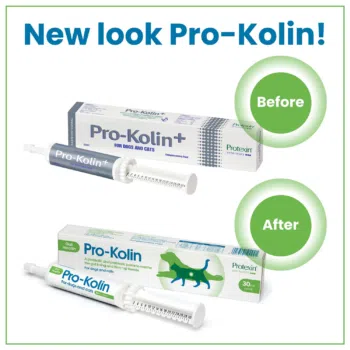 Protexin - Pro-Kolin 益生菌止瀉劑 - Image 2