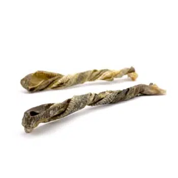SKIPPER‘S - Fish Skin Twists Short 白魚魚皮扭條 - Image 2