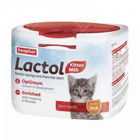 LACTOL KITTEN (1)