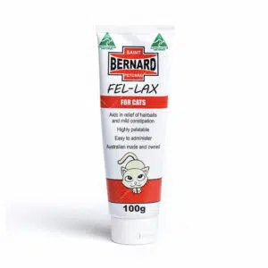 Saint Bernard