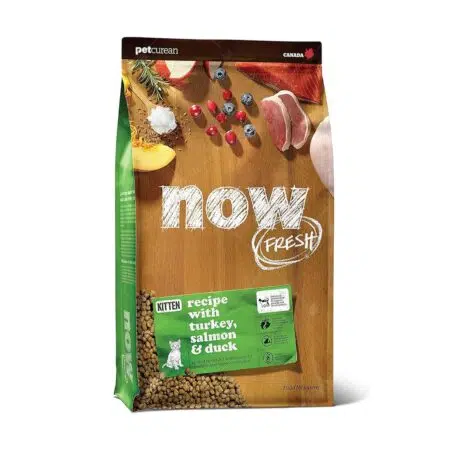 Now Fresh! - 幼貓糧