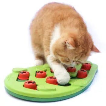 Petstages Puzzle Play- 快閃拼盤智力玩具[貓用] - Image 4