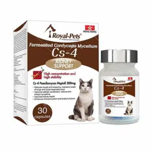 Royal Pets -發酵蟲草菌絲體Cs4 30粒膠囊[貓用]