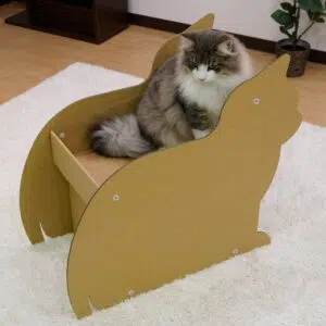 CattyMan -貓咪造型躲喵喵小屋2