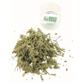 From The Field -貓薄荷花蕾0.5oz - Image 2