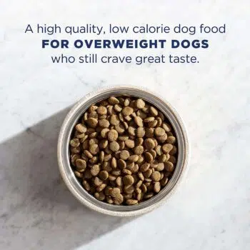 Natural Balance 雪山 - Fat Dogs 體重控制系列全犬糧 [雞肉・三文魚．大麥] - Image 2
