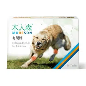 Moreson 木入森 – 有關膝 [犬]