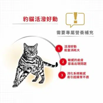 Royal Canin 法國皇家 - Bengal 豹貓 [成貓配方] - Image 4