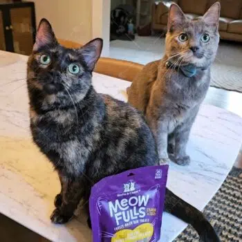 Stella & Chewy's - MEOWFULLS Chicken & Chicken Liver Cat Treats 喵呼貓小食 [雞肉、雞肝] 42.5g - Image 3
