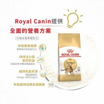 Royal Canin 法國皇家 - Bengal 豹貓 [成貓配方] - Image 5