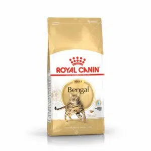 Royal Canin 法國皇家 - Bengal 豹貓 [成貓配方]
