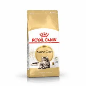 Royal Canin 法國皇家 - Maine Coon 緬因貓 [成貓配方]