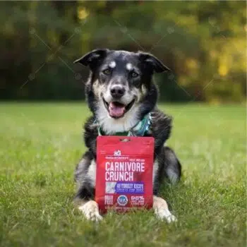 Stella & Chewy’s - Carnivore Crunch 一口凍乾小食 3.25oz [放養火雞][犬] - Image 3