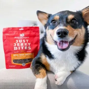 Stella & Chewy’s - Just Jerky Bites Real Beef Recipe 肉乾小食 6oz [牛肉、牛肝][犬] - Image 3