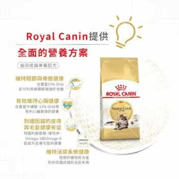 Royal Canin 法國皇家 - Maine Coon 緬因貓 [成貓配方] - Image 5