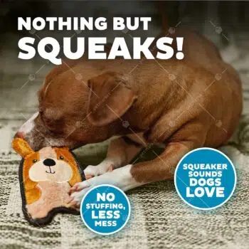 Outward Hound - Invincibles 耐用小狗發聲玩具 [No.67807][犬用] - Image 4