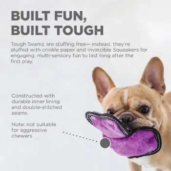 Outward Hound - Tough Seamz 耐用眼鏡蛇發聲玩具 [No.32157][犬用] - Image 4