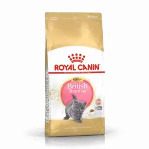 Royal Canin 法國皇家 - British Shorthair 英國短毛貓 [幼貓配方]