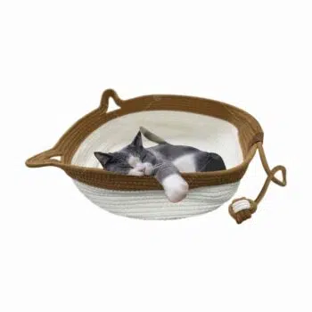 【免費贈品】買任何 Now Fresh 貓狗乾糧 即送 夏日涼伴寵物床 [需買滿兩包7lbs或以下 / 一包8lbs或以上] - Image 2