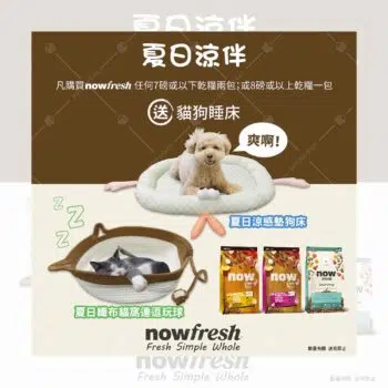 【免費贈品】買任何 Now Fresh 貓狗乾糧 即送 夏日涼伴寵物床 [需買滿兩包7lbs或以下 / 一包8lbs或以上] - Image 4