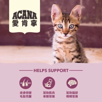 Acana 愛肯拿 - First Feast 第一盛宴低GI幼貓配方 [紫] - Image 3