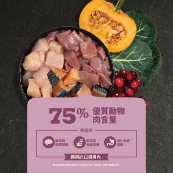 Acana 愛肯拿 - Kitten 無穀高蛋白幼貓配方 [紫] - 圖片 3