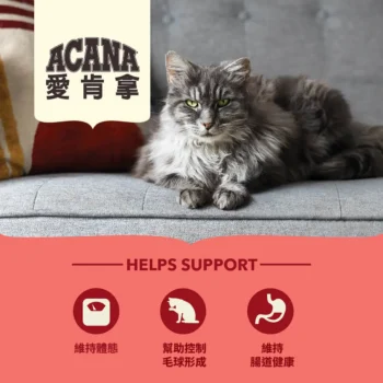 Acana 愛肯拿 - Indoor Cat 無穀物高蛋白室內貓配方 [紅][成貓] - 圖片 3