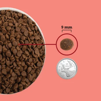 Acana 愛肯拿 - Indoor Cat 無穀物高蛋白室內貓配方 [紅][成貓] - 圖片 4