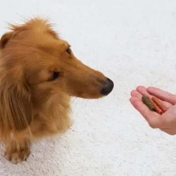 DoggyMan - 低脂 21種野菜雞肉條 400g [全犬] - Image 5