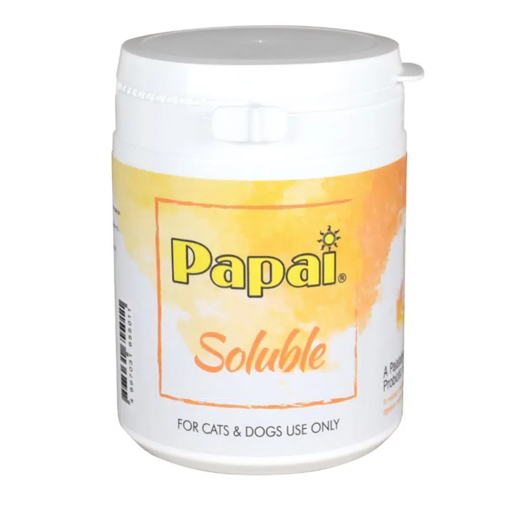 預防毛球症-Papa益生菌-貓吐毛推薦產品