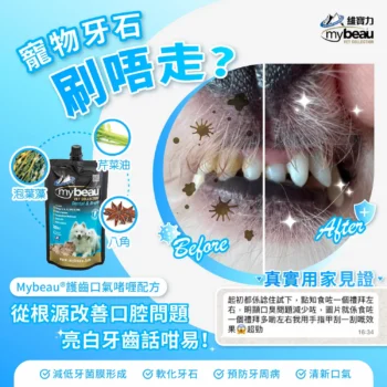 MyBeau - 抑制口氣及牙石口腔護理液 - 圖片 3