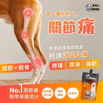 MyBeau - 骨骼關節保健啫喱補充劑 [犬貓適用] - Image 2