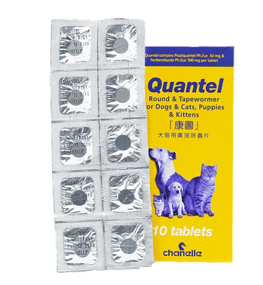 康圖廣效除蟲片-狗驅蟲產品-狗驅蟲產品推薦