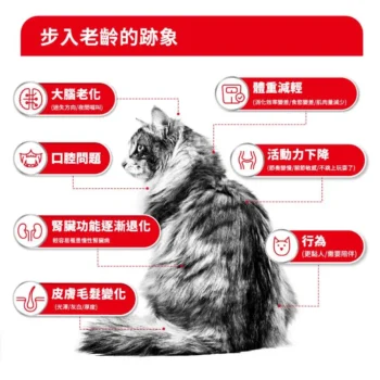 Royal Canin 法國皇家 - FHN 老齡貓 15+ 營養配方 2kg - 圖片 3
